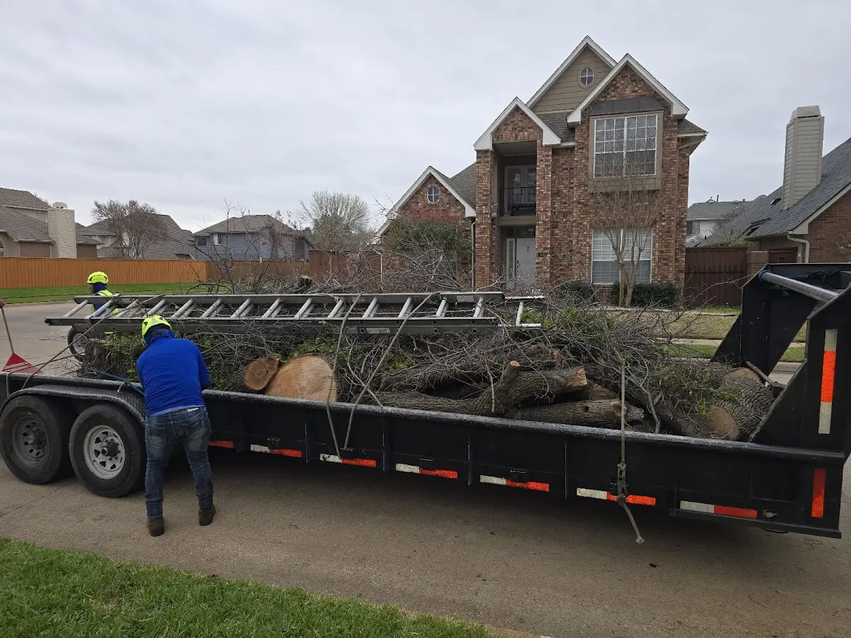 Expert Lot Clearing with proper safety equipment in Elwood